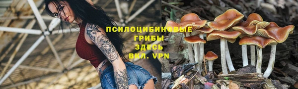 гидропоника Алексин
