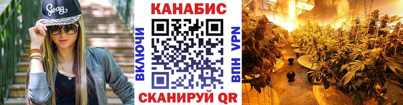 OMG сайт  Лаишево  Бошки марихуана план  где найти  